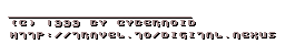 (C) 1999 by cybernoid